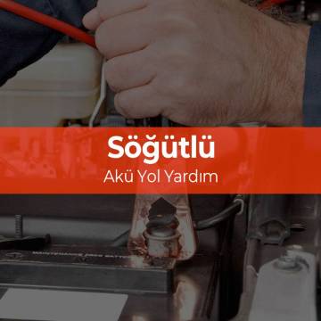 Söğütlü Akü & Söğütlü Akücü